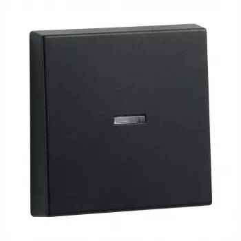 Rockers for Gira System 55 control frame, model 290005 (Wippe Kontrollf.)