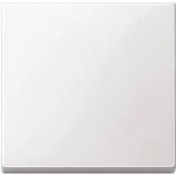 Light switch Merten 432119, thermoplastic housing, white, button control
