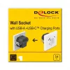 DeLOCK 11489 Socket Outlet CEE 7/3 + USB White 250V 16A