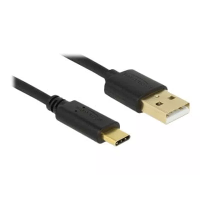 USB cable DeLOCK 83669 USB 2.0 4 m USB A USB C Black