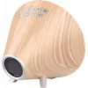 Nasa WSP1700 wood Weather Station/Speaker BT Ship