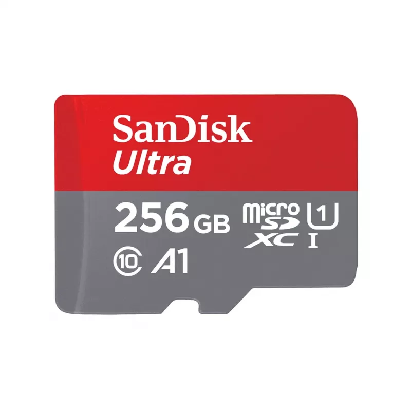 Flash memory SanDisk 256 GB MicroSDXC UHS-I SDSQUNR-256G-GN6TA