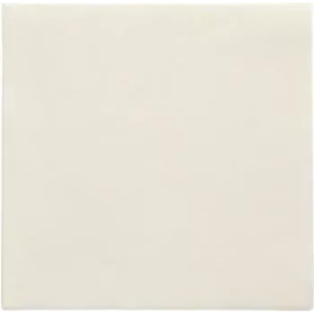 PAPSTAR napkins Daily Collection champagne 2-ply 16.0 x 16.0 cm 150 pc(s) (89637)
