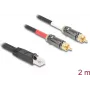 DeLOCK audio cable 2 m RJ-45 2 x RCA Black 88171