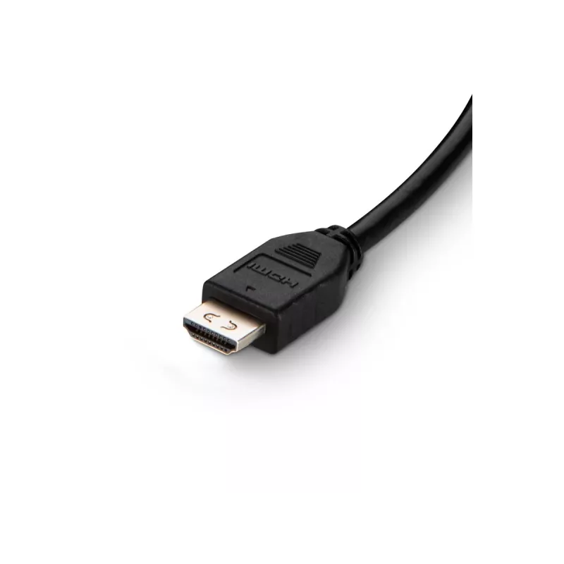 DVI to HDMI/USB/AUD Cbl DVI/HDMI MM USB A/B 10IN