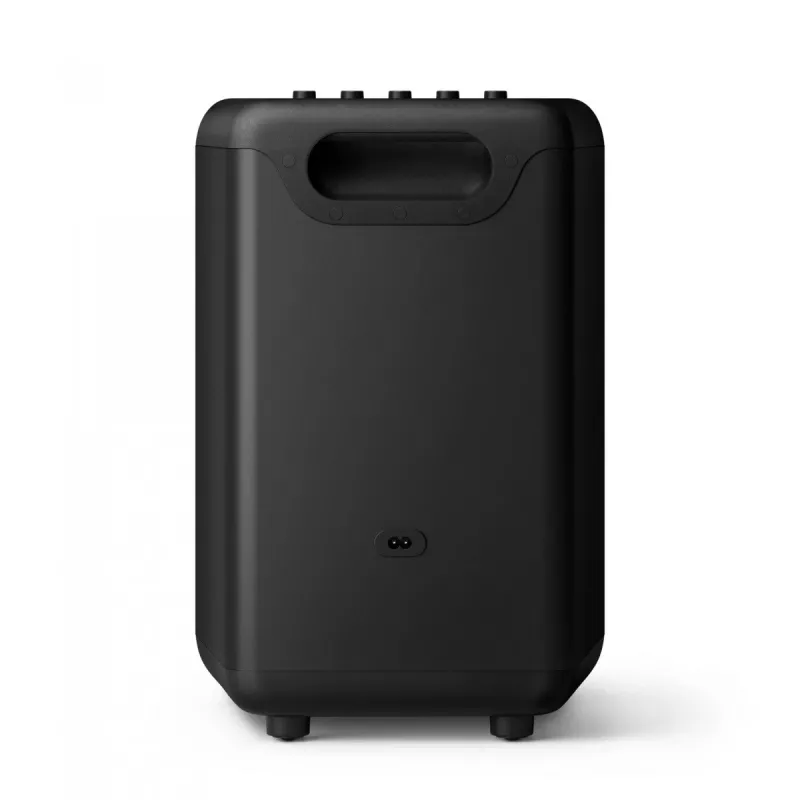 Speaker TAX3206/10, 10W