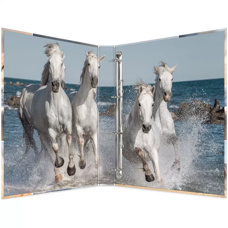 Ring binder A4 HERMA 19360 Multicolour