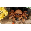 LEGO ICONS 10366 Tropical Aquarium