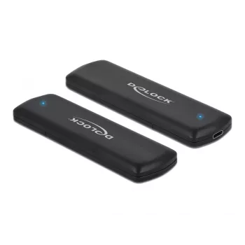 SSD enclosure DeLOCK External USB Type-C Combo Enclosure 42633