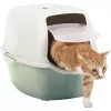 Hooded litter box Rotho Bailey Green White 560×400×390 mm, carbon filter, 1 handle