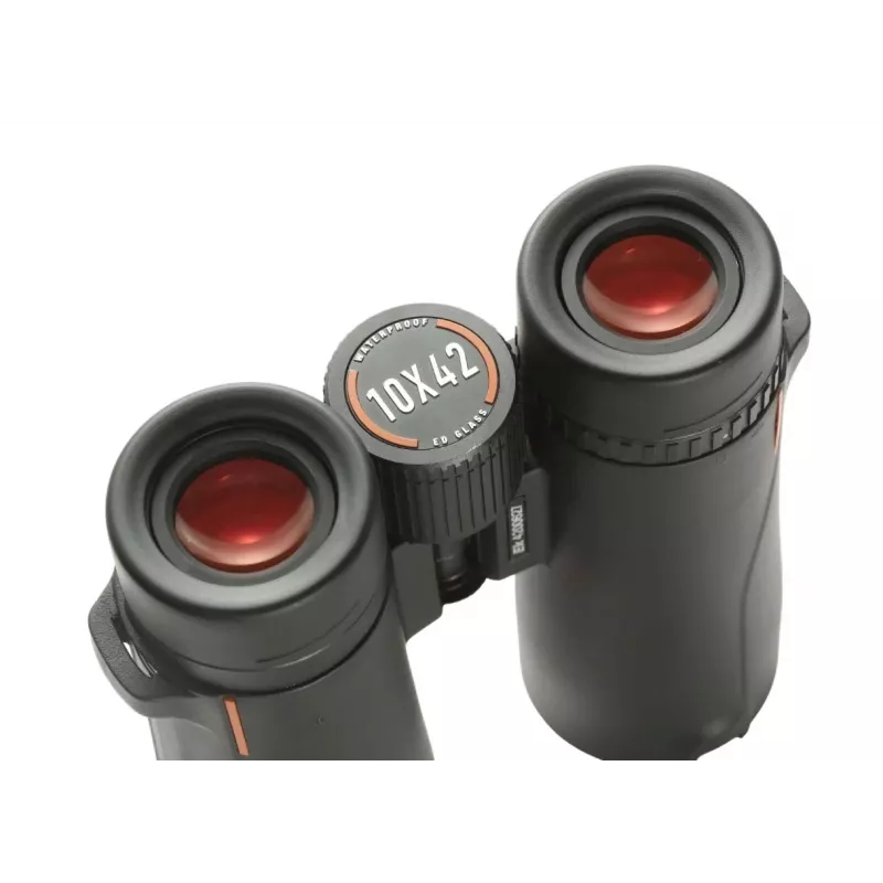 Binoculars EYESKEY Wave 10x42 — 10× magnification, 42 mm objective, BaK-4 prism, 106 m/1000 m FOV