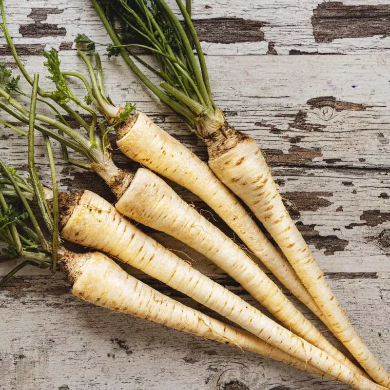 Seeds – Parsnip (Pietruszka Korzeniowa Alba) 3 g pack by Seklos LT