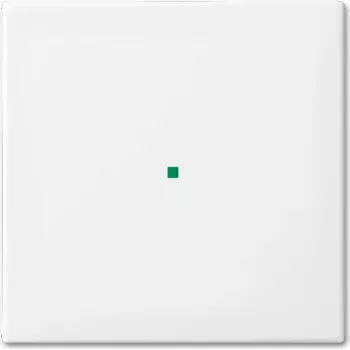 Busch-Jaeger 6230-10-914 White