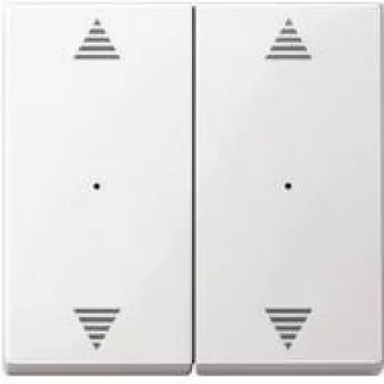 Merten 619719 Electrical Switch White (619719)