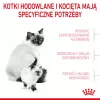 Dry Cat Food Royal Canin Mother & Babycat 400 g — Poultry, for Pregnant & Lactating Queens and Junior Kittens