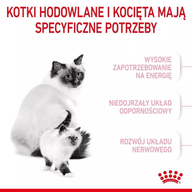 Dry Cat Food Royal Canin Mother & Babycat 400 g — Poultry, for Pregnant & Lactating Queens and Junior Kittens
