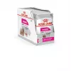 Wet Dog Food Royal Canin Exigent Meat Universal 12×85 g — Poultry, Adult, For Fussy Dogs