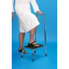 Step with handrail - bath step
