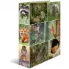 ring binder HERMA 7202 A4 Multicolour