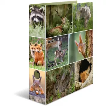 ring binder HERMA 7202 A4 Multicolour
