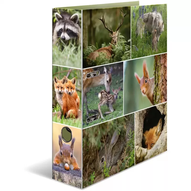 ring binder HERMA 7202 A4 Multicolour