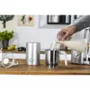 Zwilling Enfinigy Silver milk frother