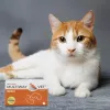 Dietary supplement capsules JM Sante Multiway Vet Duocaps Kidneys for dogs and cats, 60 pcs, 150 g cardboard package