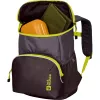 Jack Wolfskin Erlebnis Pack Backpack - Purple/Neon Yellow, 11 L