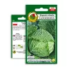 Vegetable Seeds Apte Savoy Cabbage Langedijska — seed pack 2 g