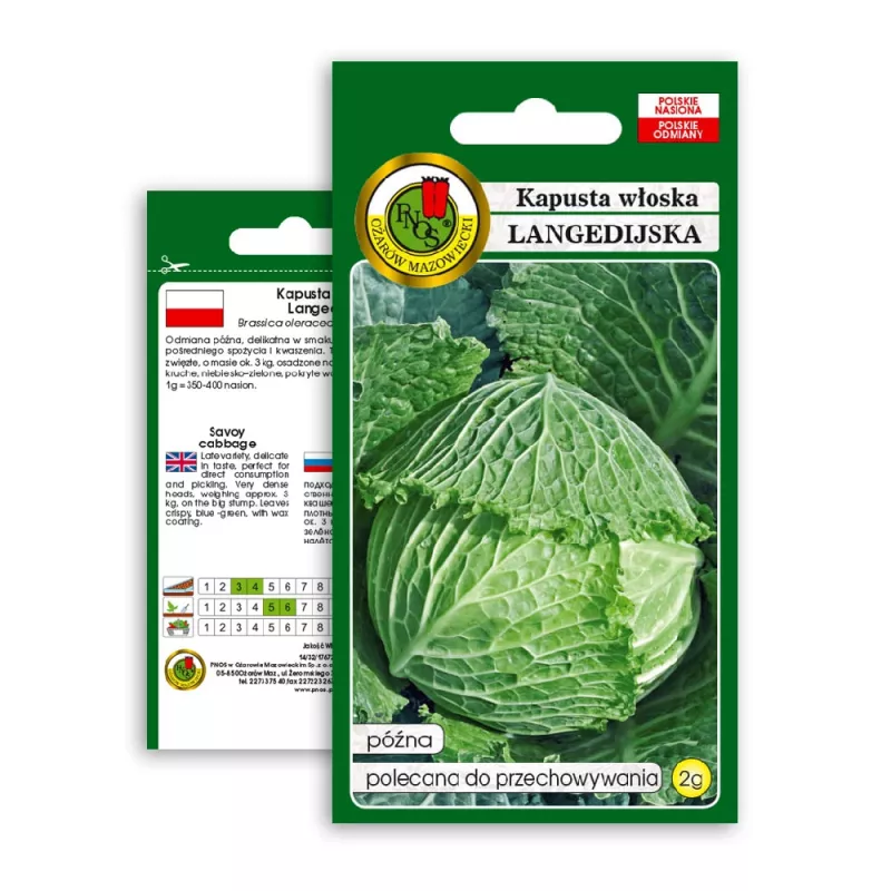 Vegetable Seeds Apte Savoy Cabbage Langedijska — seed pack 2 g