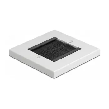 Wall plate DeLOCK 66491 White