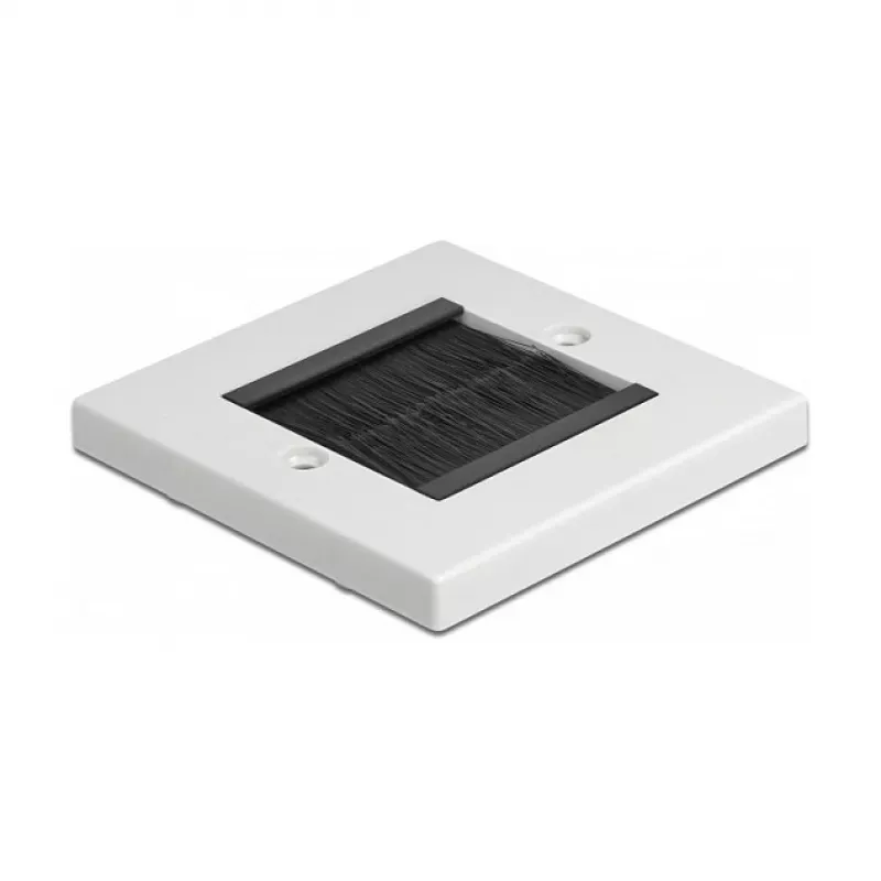 Wall plate DeLOCK 66491 White