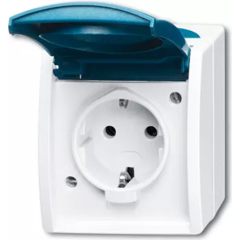 Busch-jaeger 2CKA002083A0818 Blue