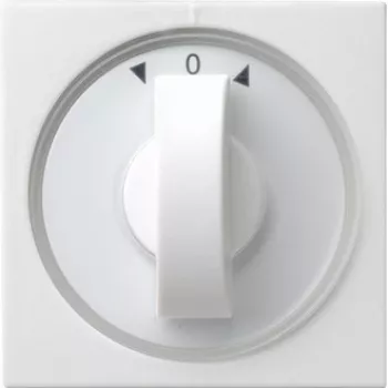 Gira 066603 Networking Device White