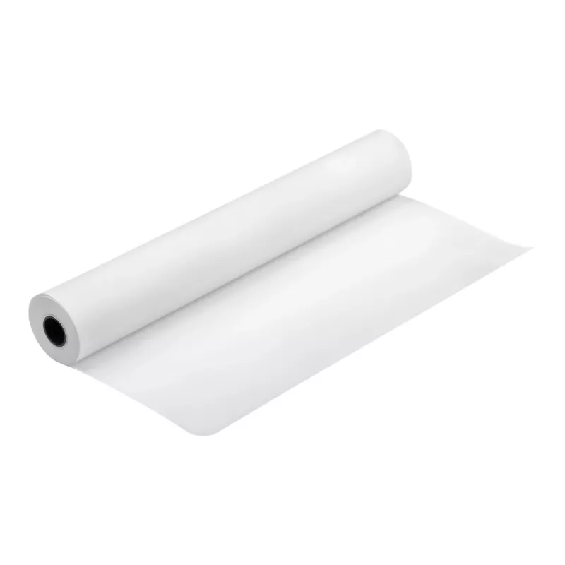Epson Production Canvas Matte, 610mm x 12,2m, 12.2 m, 61 cm, 61 cm (24 inch), Matt, 320 g/m²