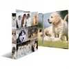 Ring binder HERMA 19358 A4 Multicolour