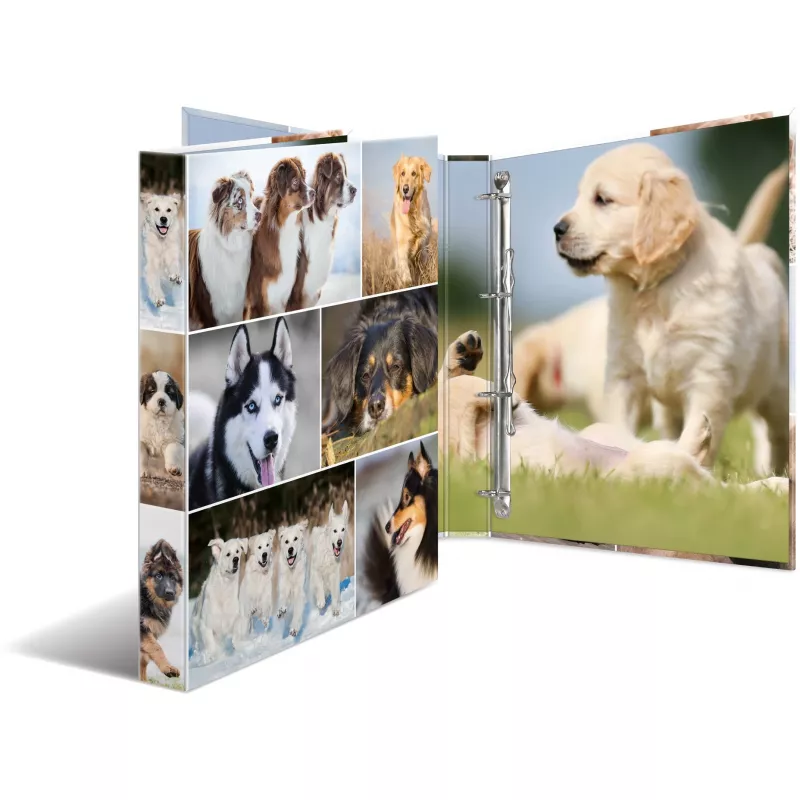 Ring binder HERMA 19358 A4 Multicolour