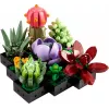 Lego Icons 10309 Succulents