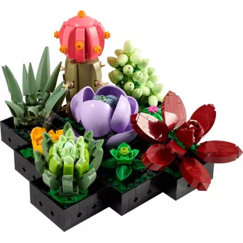 Lego Icons 10309 Succulents