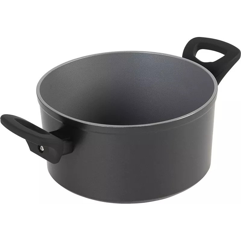 Stockpot Russell Hobbs RH01712EU 20 cm Pearlised – stainless steel cooking pot