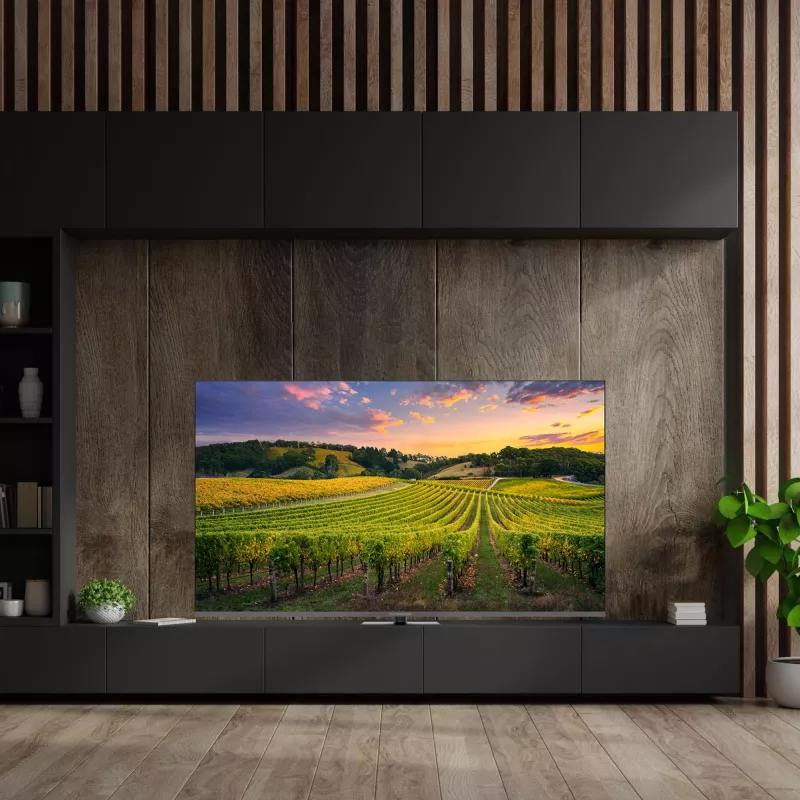 TV Set|THOMSON|65 |4K Ultra HD|3840 x 2160 pixels|Flat|QLED|65QG5C14