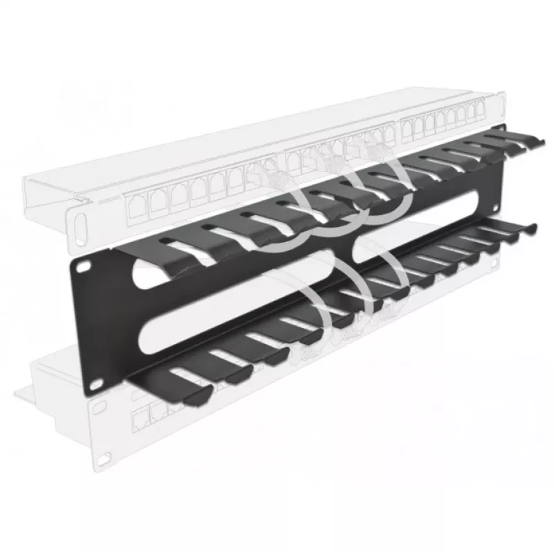 DeLOCK - Kabelführungsplatte für Schaltschrank - Schwarz - 2U - 48,3 cm (19) (66553)