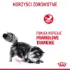 Royal Canin Digestive Care Adult Dry Cat Food 10 kg, Fish, Poultry, Rice, Vegetable