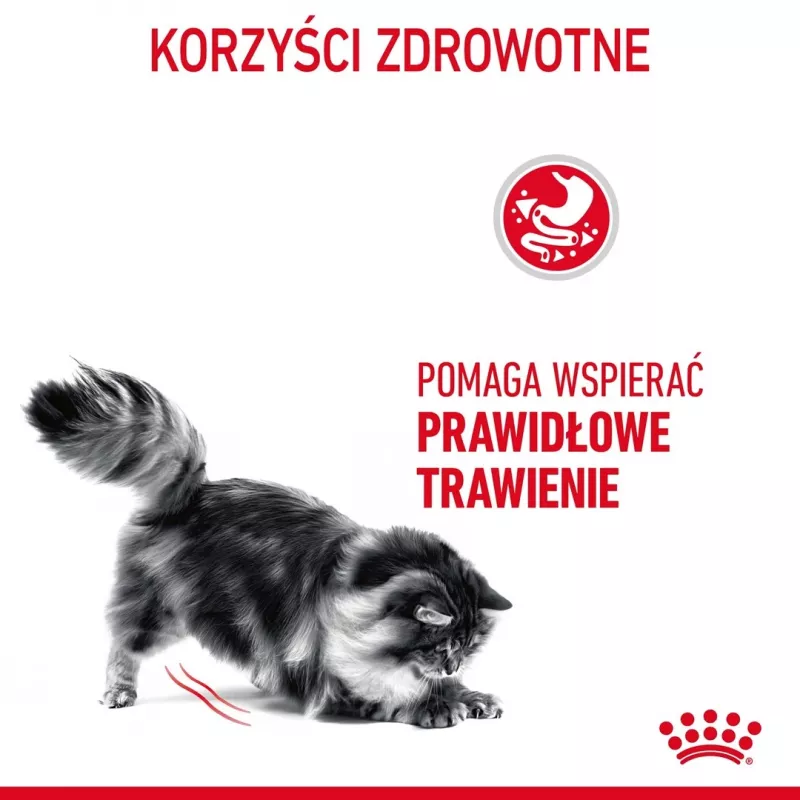 Royal Canin Digestive Care Adult Dry Cat Food 10 kg, Fish, Poultry, Rice, Vegetable