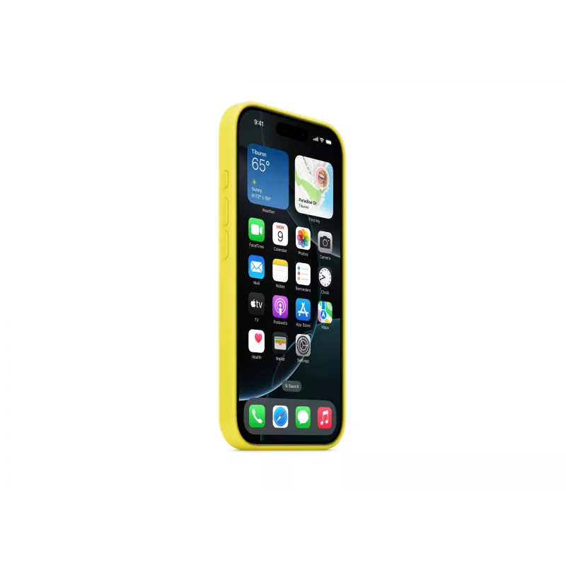 Silicone case with MagSafe for iPhone 16 Pro - Star Fruit