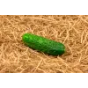 Cucumber Hela F1 Toraf Vegetable Seeds, 5g Pack