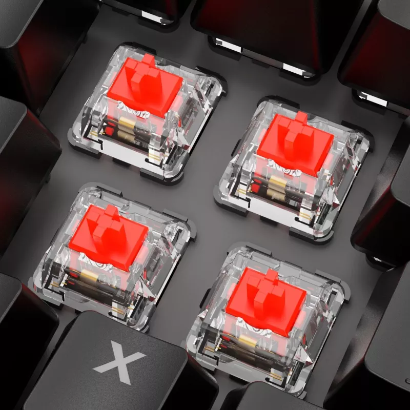 Keyboard Sharkoon SKILLER SGK20 Red