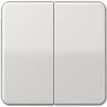 Jung CD 595 LG (CD595LG)