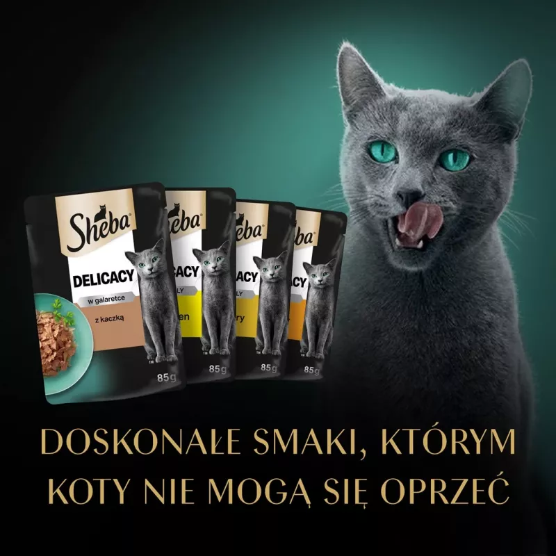 SHEBA Delicacy poultry flavours in jelly - wet cat food - 40x85 g