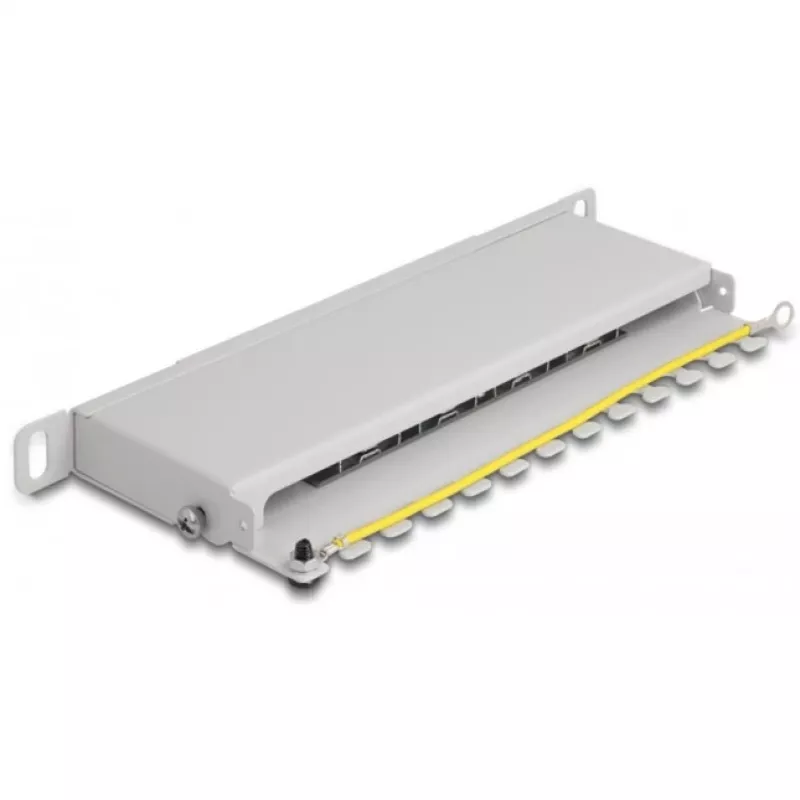 DeLOCK 10 inch Patch Panel 8 port Cat.6A 0.5U grey Metal